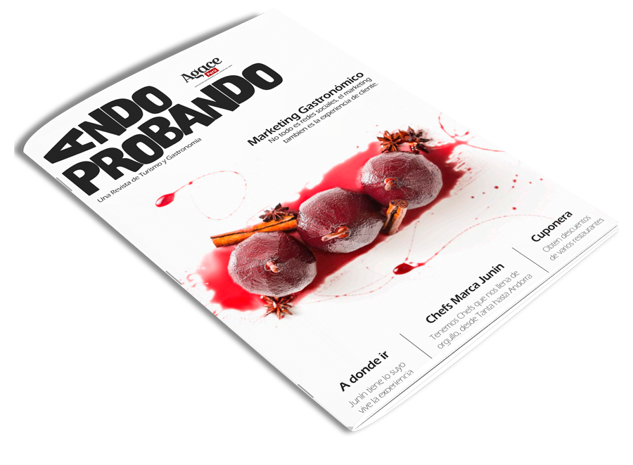 revista ando probando